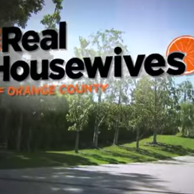 14 Things The Real Housewives Series Have Taught Me