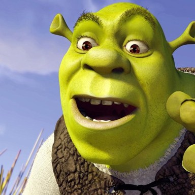 13 Shrek Gifs That Totally Show The Difference Between Being 20 and 25