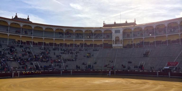 I Watched 6 Bulls Get Slaughtered At A Spanish Bullfight