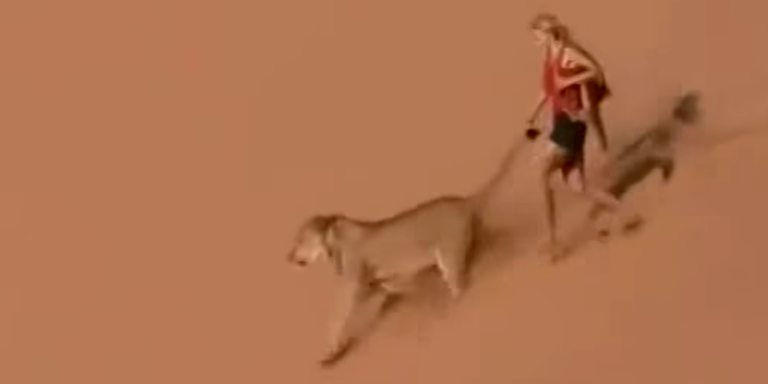 Watch This Crazy Video Of A Wild Girl Playing With Lions And Cheetahs