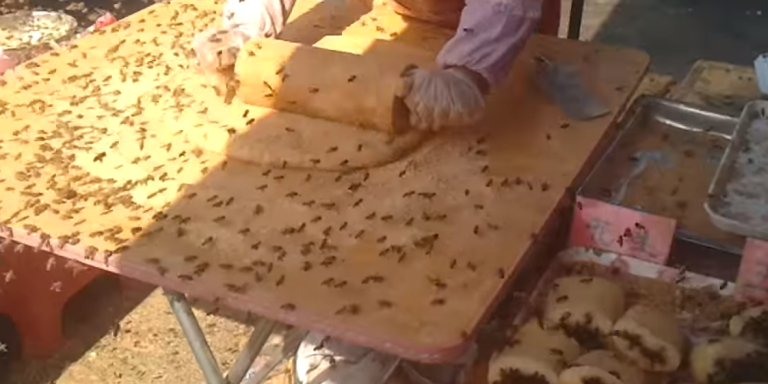 This Chinese Lady Just Doesn’t Give A Damn About The Terrifying Swarm Of Bees Around Her