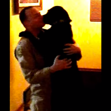 Watch This Dog’s Heartwarming Reaction To A Soldier Returning Home After Six Months