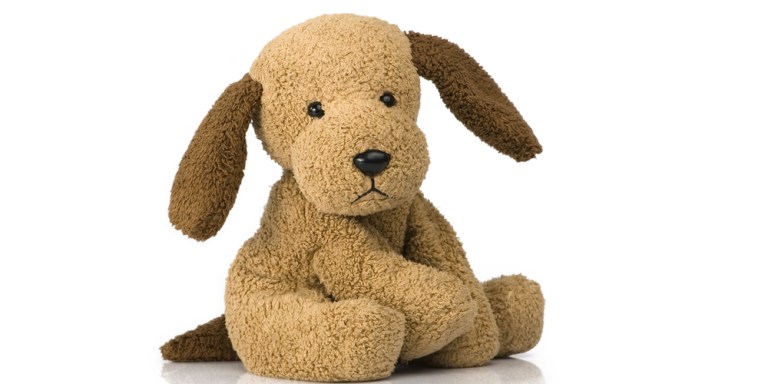 Concerned Police Officer Breaks Into Car To Save Toy Dog From Overheating