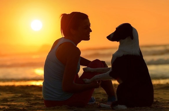 6 Things That Happen When You Hang Out With Your Dog More Than You Hang Out With People