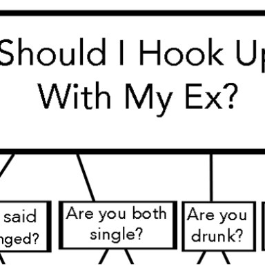 This Flowchart Will Tell You When You Should And Should Not Consider Hooking Up With Your Ex