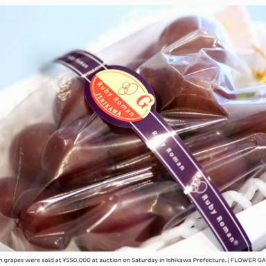 The Japanese Have A Penchant For Buying Fat And Juicy Grapes Priced Over $5,000
