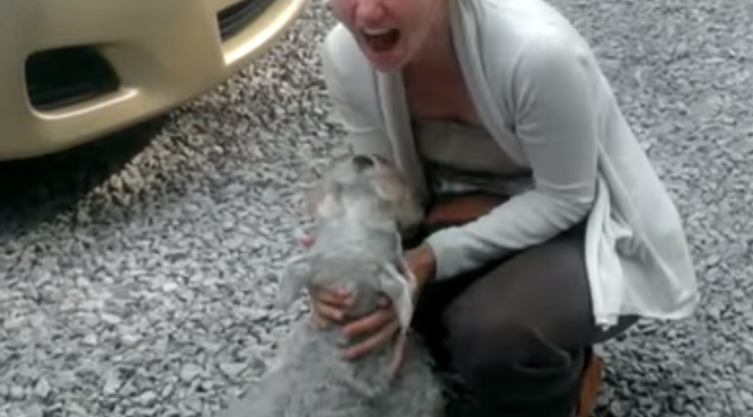 This Dog Is Reunited With Her Friend After 2 Years And Her Reaction Is Really Amazing
