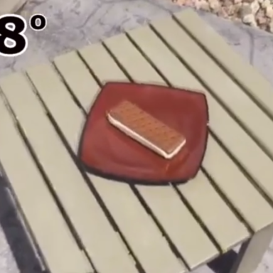 Want To See Something Gross? Wal Mart’s Ice Cream Sandwiches Won’t Melt