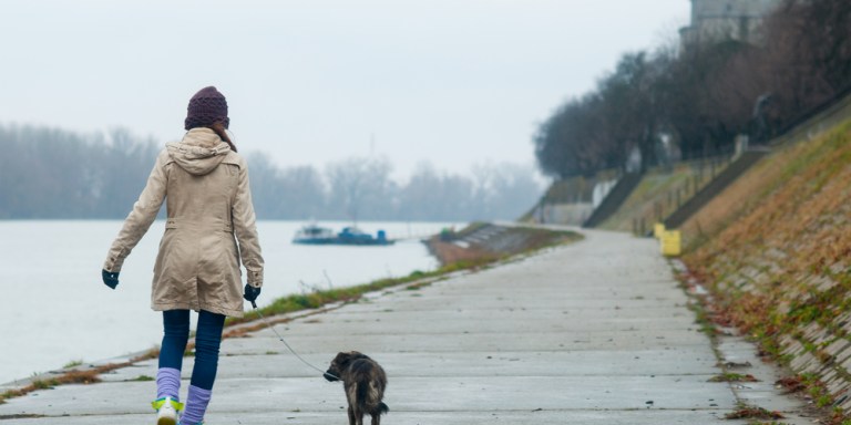 10 Ways To Improve Your Dog Walks