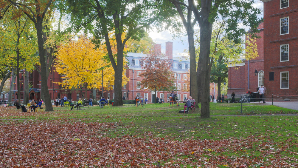 19 Tips For College Freshman | Thought Catalog