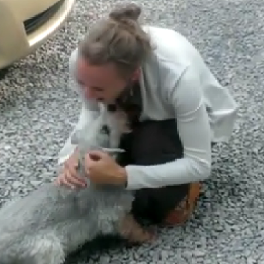 This Video Proves Your Dog Misses You Way More Than You Thought