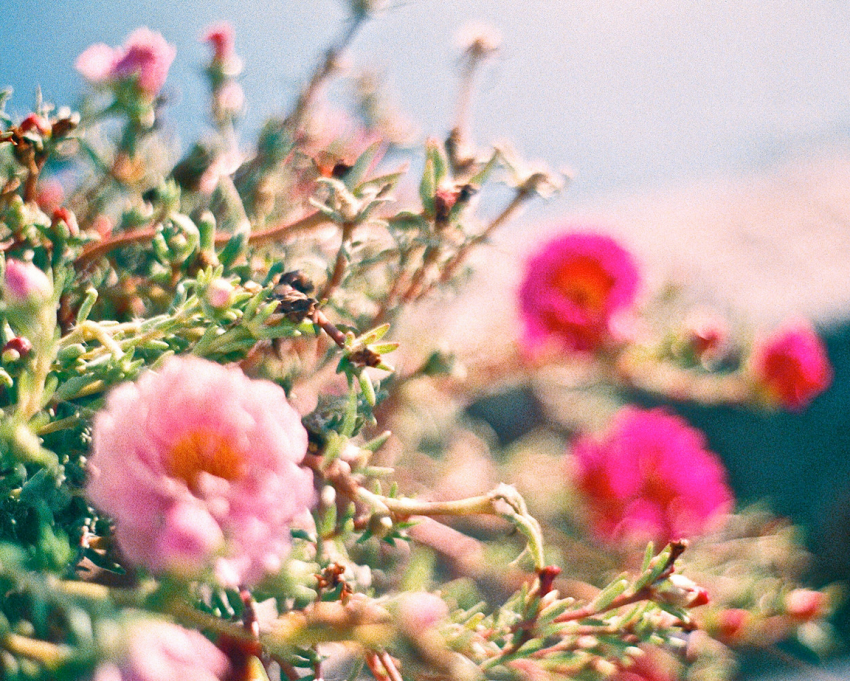 How Do You Let Go Of Something That Never Was?