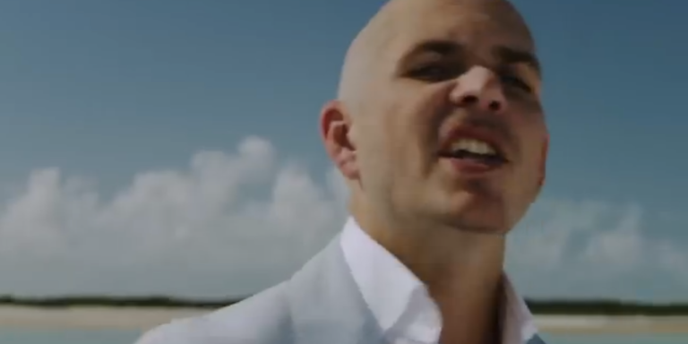 8 Reasons Why You Should Never Invite Pitbull To A Party