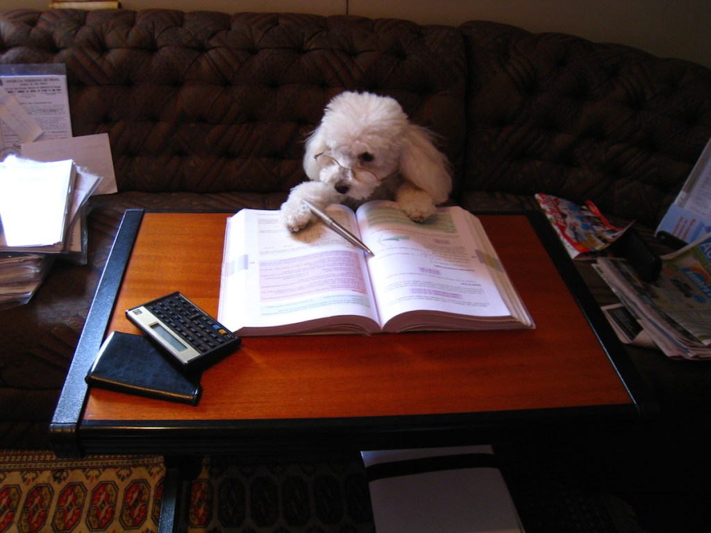 17 People Reveal The Disadvantages Of Being Smart | Thought Catalog