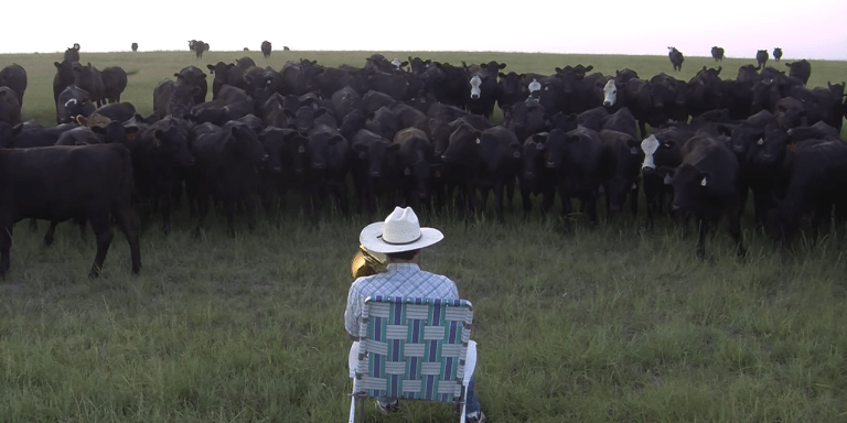 This Farmer Playing “Royals” On The Trombone For His Cows Will Bring A Smile To Your Face