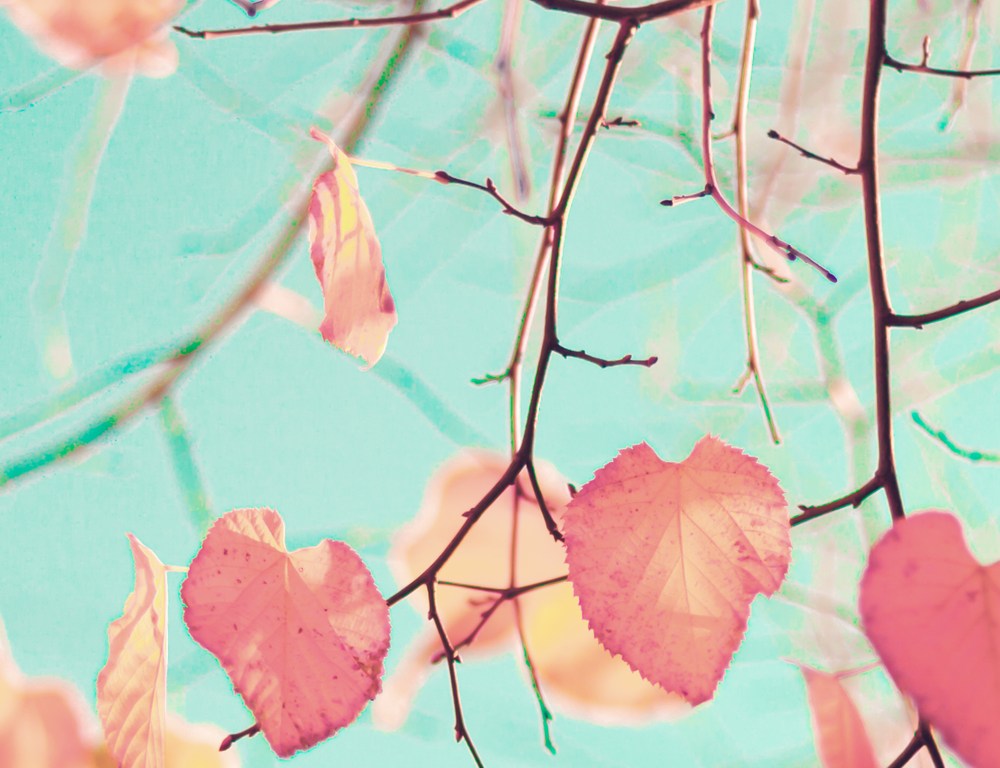 6 Reasons To Enjoy Being Single In The Fall | Thought Catalog