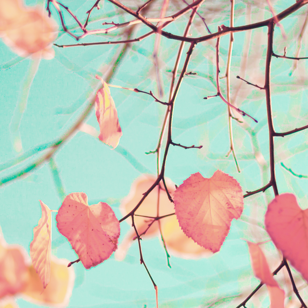 6-reasons-to-enjoy-being-single-in-the-fall-thought-catalog