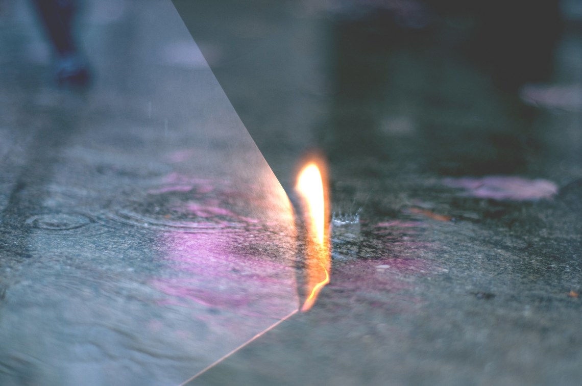 image - Flickr / Sophia Louise