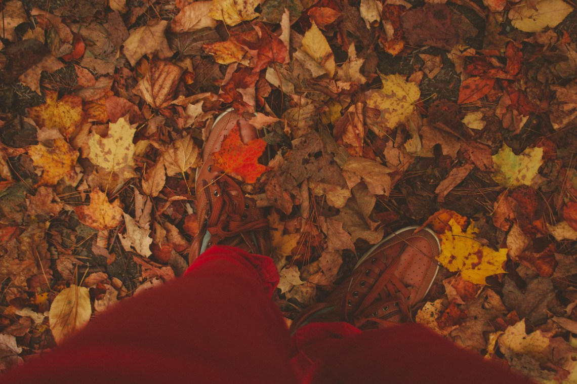 image - Flickr / Lulu Lovering