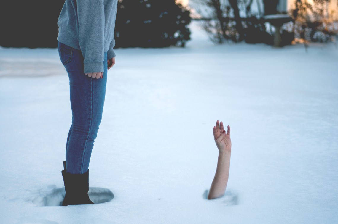 image - Flickr / Sophia Louise