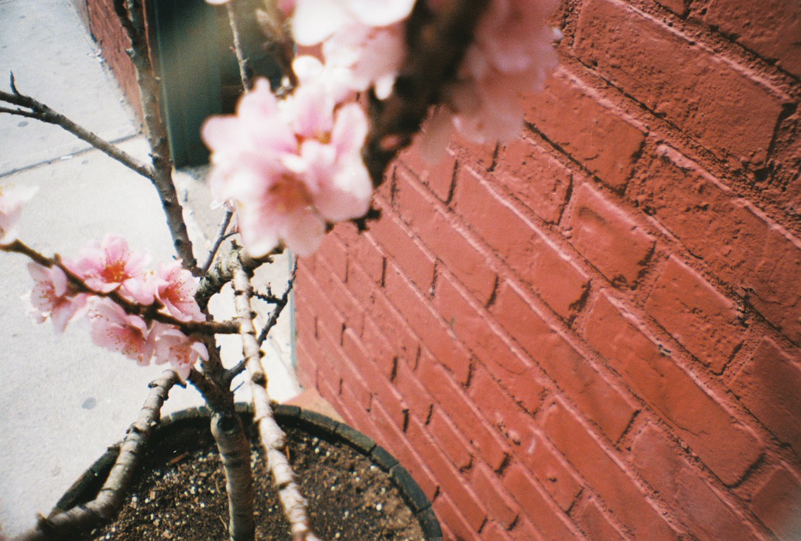 image - Flickr / ►►haley