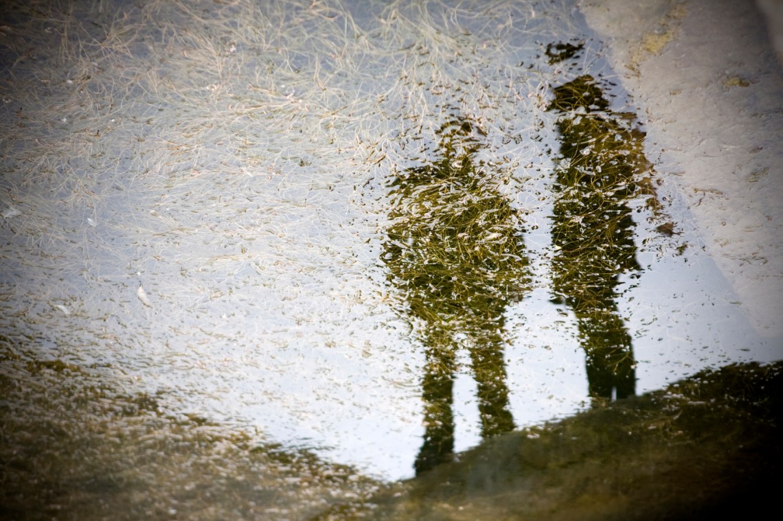 iStockphoto: MichelleDrewes