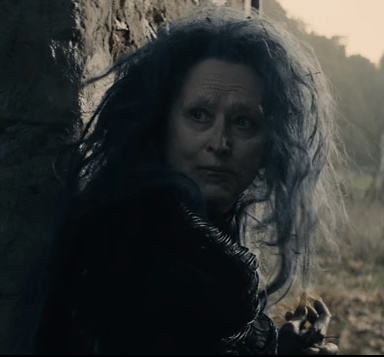 Can We Watch The “Into The Woods” Trailer Just One More Time?