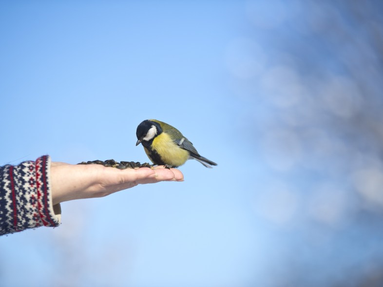 Tatiana Katsai / (Shutterstock.com) 