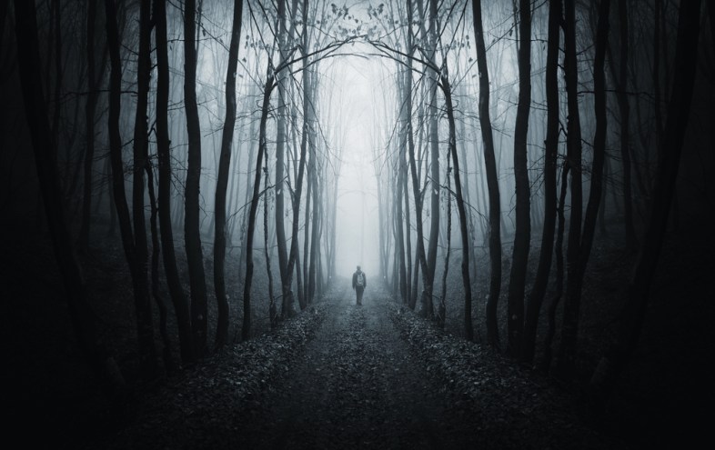 andreiuc88 / (Shutterstock.com)
