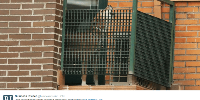 Why Are We Saving People With Ebola When We Could Be Saving Dogs Instead?