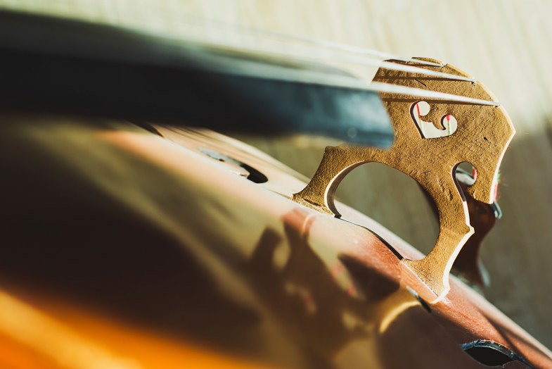 iStockphoto: orest86