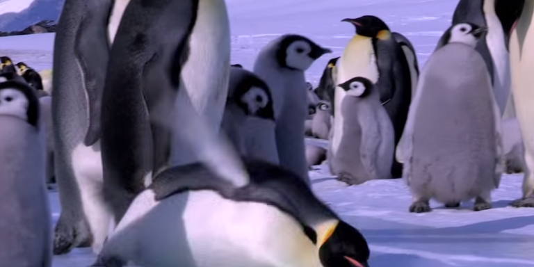 Here’s A Montage Of Penguins Falling Down That Will Totally Brighten Your Day