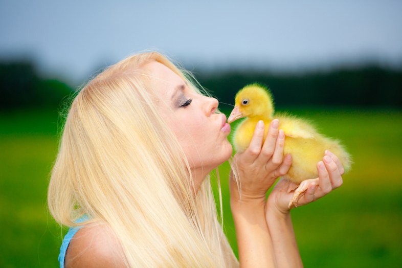 Quinn Martin / (Shutterstock.com)
