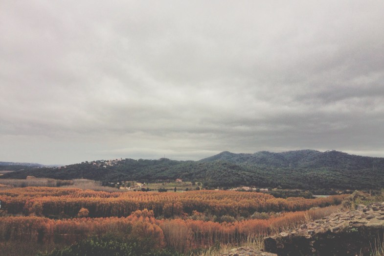 image - Flickr / Franca Gimenez