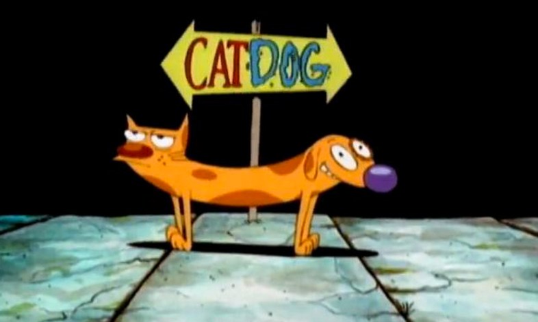 Catdog DVD