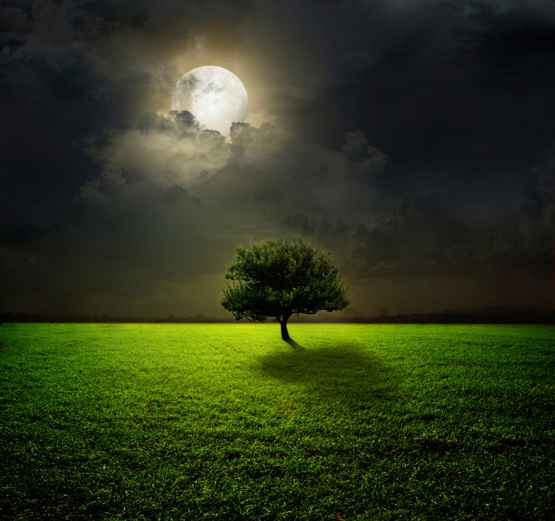iStockphoto / KrivosheevV