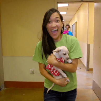 Must Watch Lip Dub Of “You Make My Dreams Come True” With Puppies And Kittens