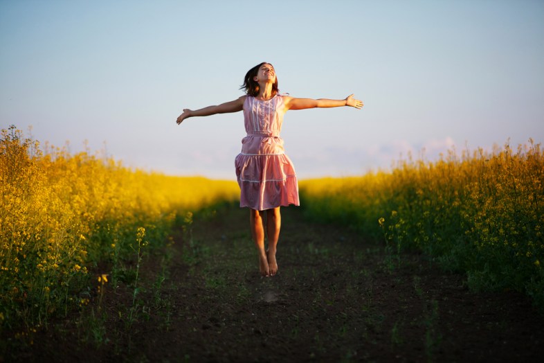 Shutterstock / My Good Images