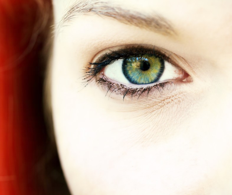 Shutterstock / Juergen Faelchle