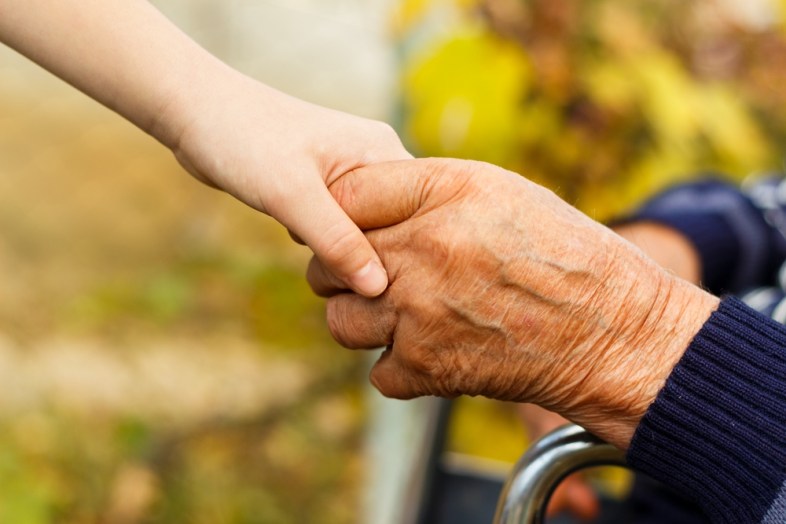 image - Shutterstock / Barabasa