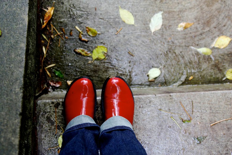 Flickr / sharyn morrow