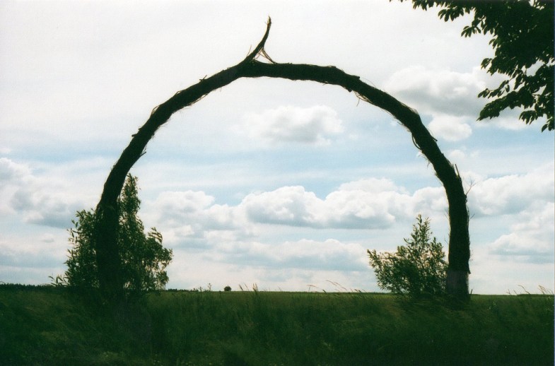 Flickr / smwright