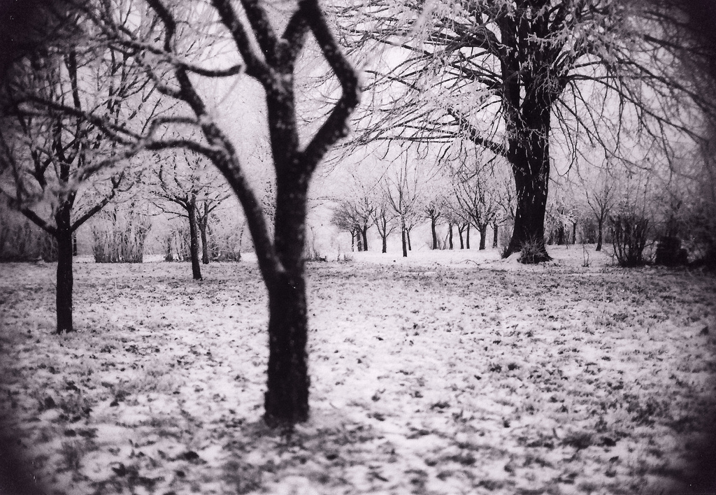 4 Ways To Beat Winter Depression | Thought Catalog