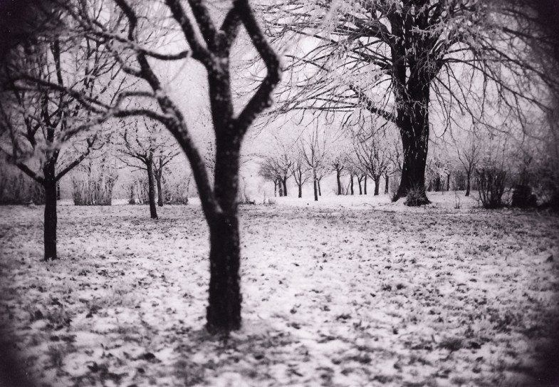 Flickr / pstmn