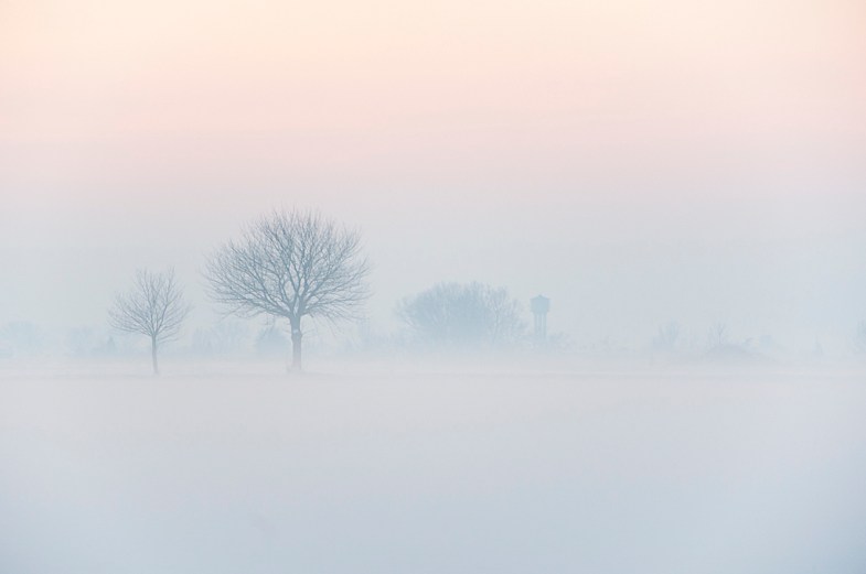 Flickr / Luigi Torreggiani