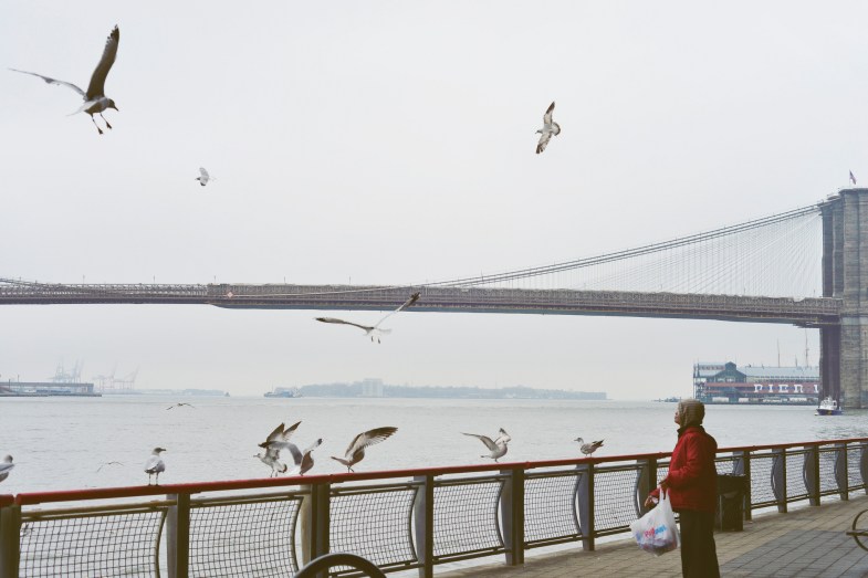 image - Flickr / Nathan Congleton
