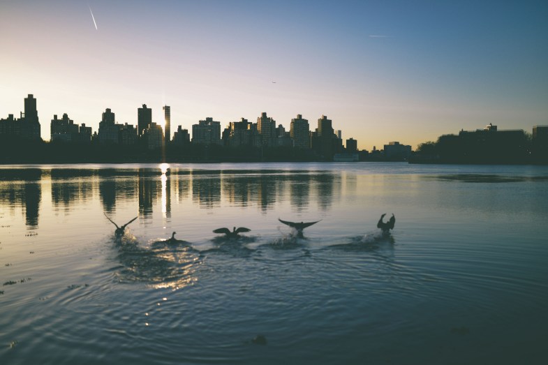 Flickr / Nathan Congleton