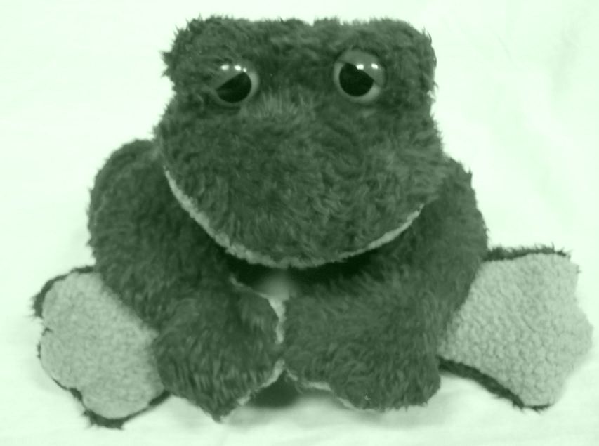 fleegle frog plush