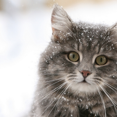 23 Seriously Deep Haikus That Will Reflect Your Winter Depression