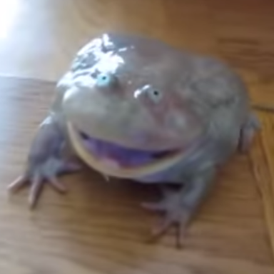 This Frog Can Scream And It Is Bone-Chilling